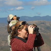 September 22: Hawk Identification Field Class