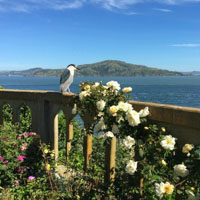 Alcatraz Gardens Highlighted in Washington Post