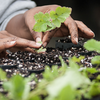 April 10: Soil Health Series: Drought, Climate Change, &amp; Soils