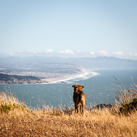 Add Your Fave Hikes to the New ParksConservancy.org!