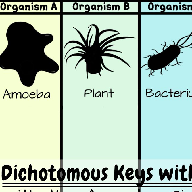 June 25: (Plant Taxonomy) Key Party