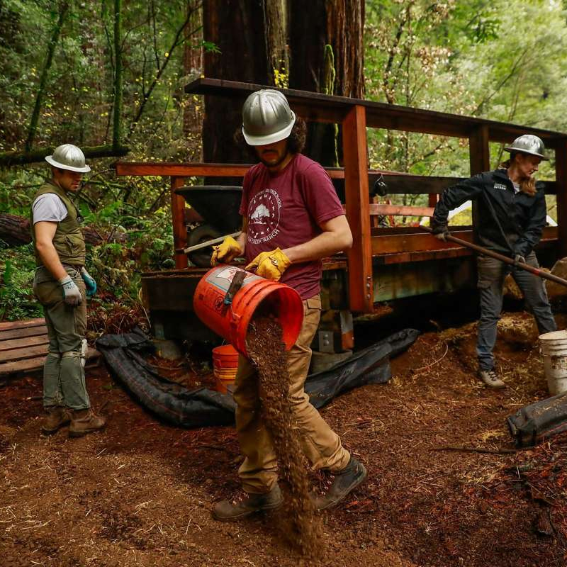 Efforts at Muir Woods to salvage salmon run reported by SF Chronicle