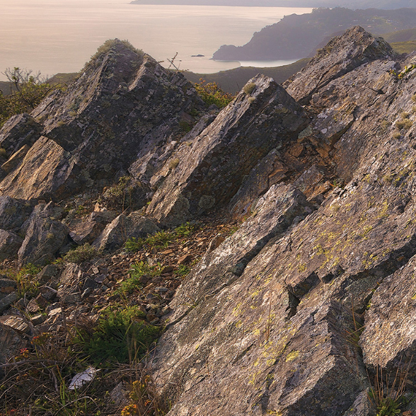 Bay Nature Magazine features Park Stewardship Initiatives