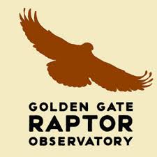 Seeking Interns with The Golden Gate Raptor Observatory