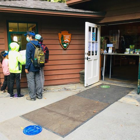 Safely Welcoming Visitors Back to Muir Woods