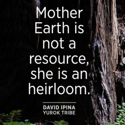 Inspiring Nature Quotes from Indigenous Leaders