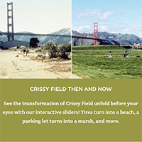 Tour the New Crissy Field Pages on the Website