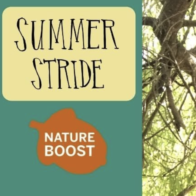 Nature Boost Fridays, Starting 6/11