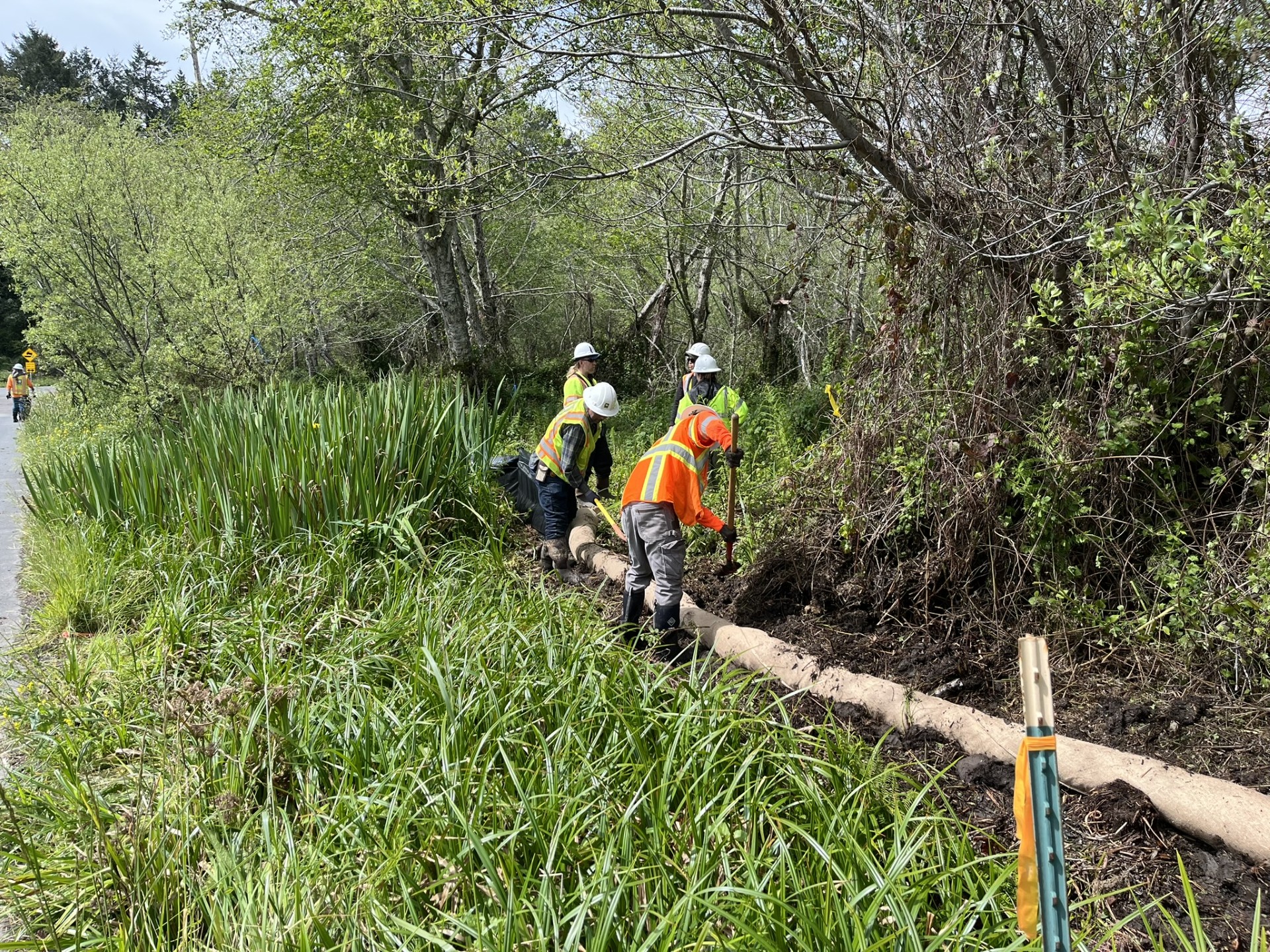 Bolinas Wye project kick-off